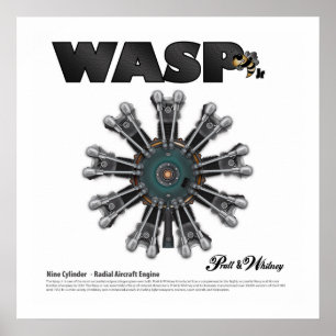 The "Wasp Jr." Radial Engine Art Poster