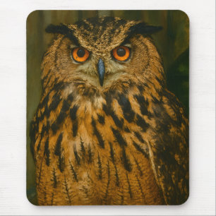 The Watcher – Eurasian Eagle-Owl in Woodland Light Mouse Pad