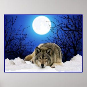 The Watcher Wolf Poster