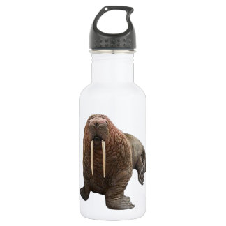 THE WATCHFUL WALRUS 532 ML WATER BOTTLE
