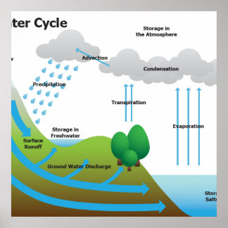 The Water Cycle Poster