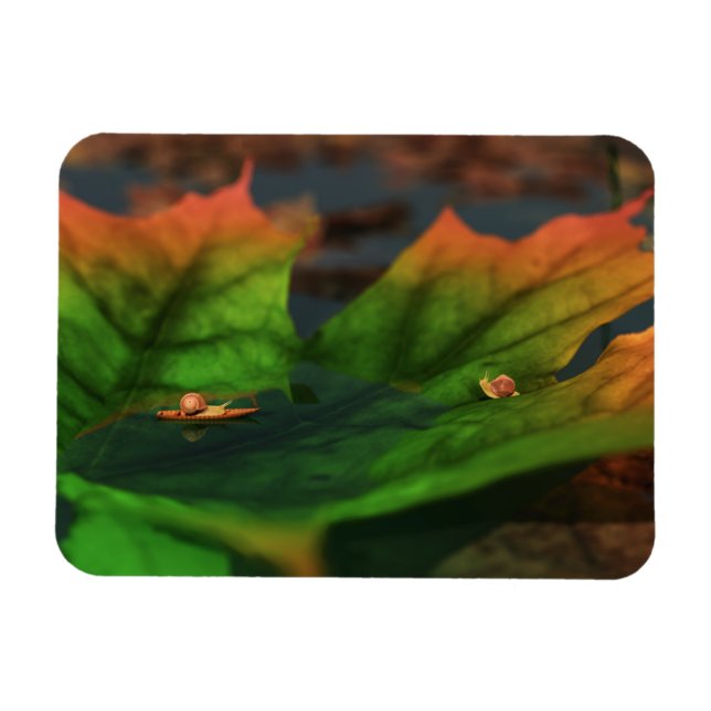 The Water Is Wide Flexible Magnet (Horizontal)