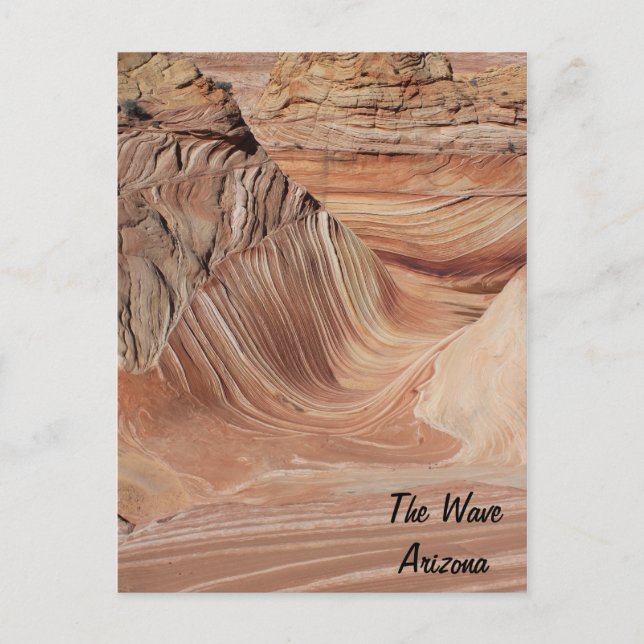 The Wave, Arizona Postcard (Front)