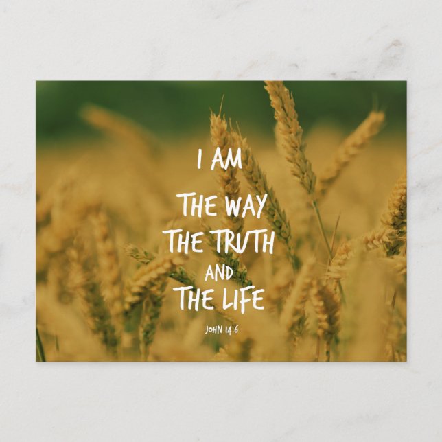 The way the Truth The Life Bible Verse Postcard (Front)