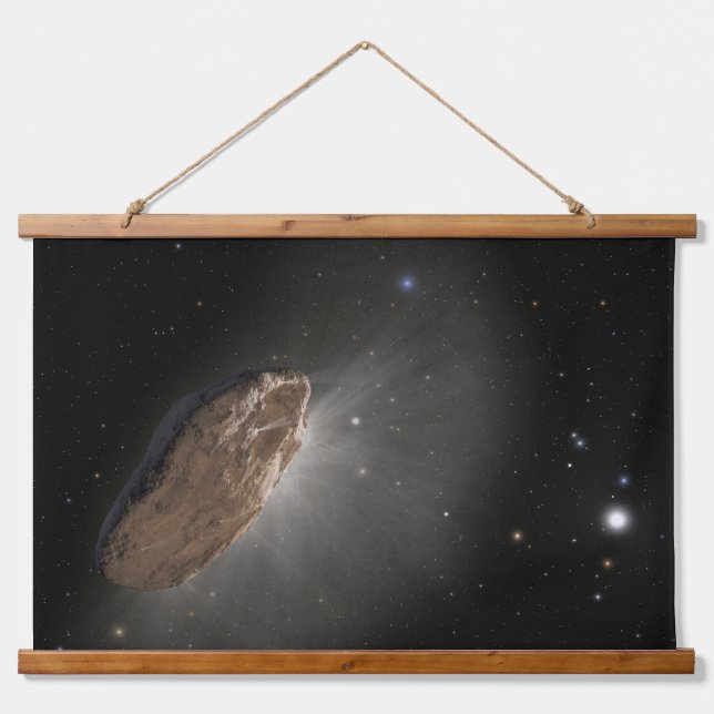 The Wayward Interstellar Object Oumuamua. Hanging Tapestry (Front)