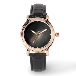 The Wayward Interstellar Object Oumuamua. Watch