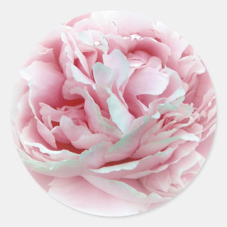 The Wedding Flower Envelope Seals