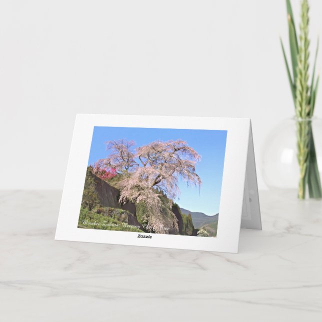 The Weeping Cherry Tree: Matabei-Zakura Card (Back)