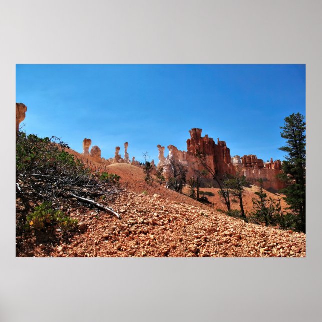 The Weirdness of Bryce Canyon Poster (Front)