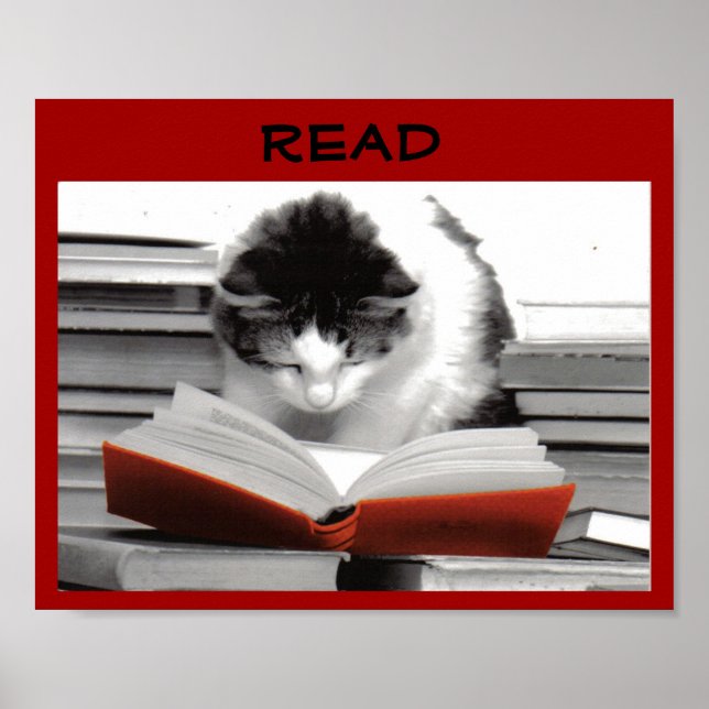 The Well-Read Cat Literacy Poster (Front)