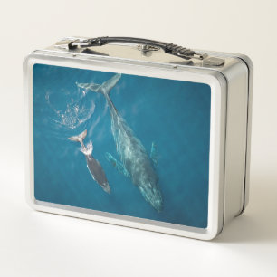 The Whales Metal Lunch Box