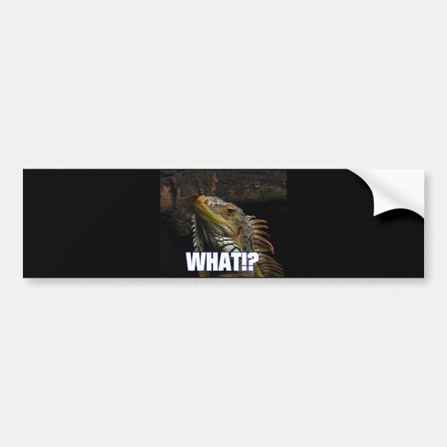 The What!? Iguana Bumper Sticker (Front)