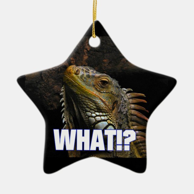 The What!? Iguana Ceramic Tree Decoration (Front)