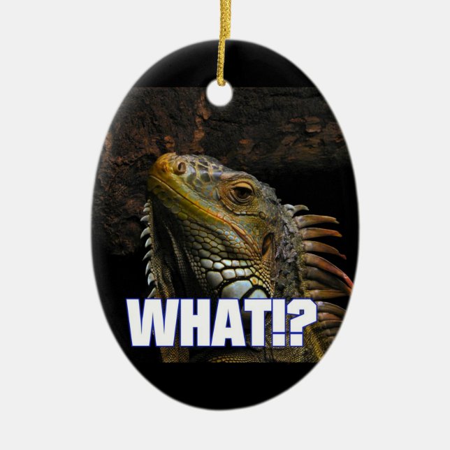 The What!? Iguana Ceramic Tree Decoration (Front)
