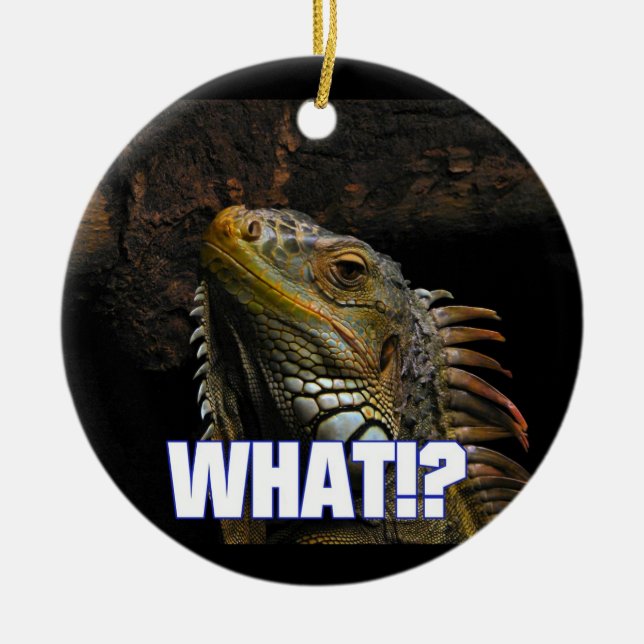 The What!? Iguana Ceramic Tree Decoration (Front)