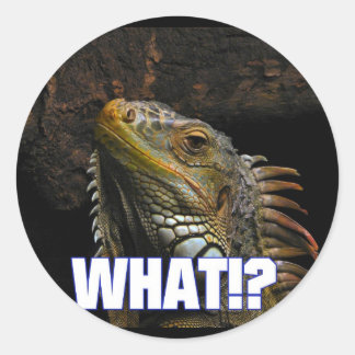 The What!? Iguana Classic Round Sticker