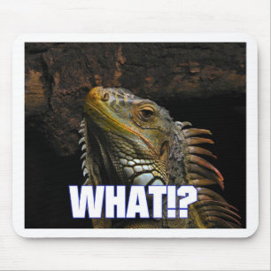 The What!? Iguana Mouse Pad