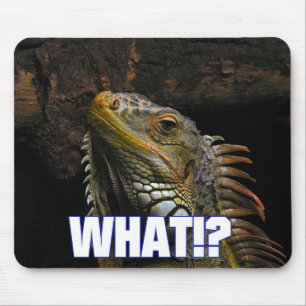 The What!? Iguana Mouse Pad