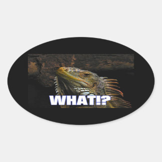The What!? Iguana Oval Sticker