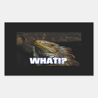 The What!? Iguana Rectangular Sticker