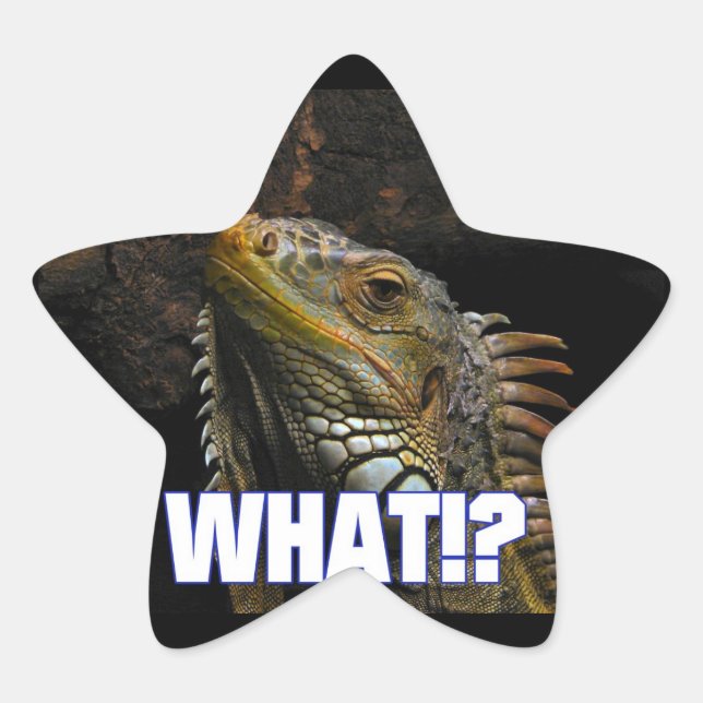 The What!? Iguana Star Sticker (Front)