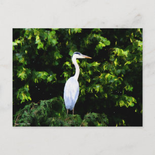 The White Bird Postcard