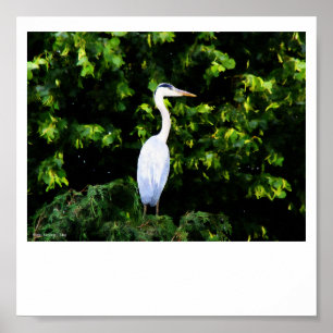 The White Bird Print