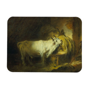 The White Bull in the Stable (oil on canvas) Magnet