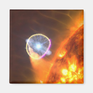 The White Dwarf Star In V407 Cygni Magnet