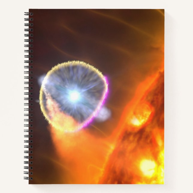 The White Dwarf Star In V407 Cygni Notebook (Front)