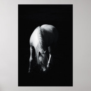 The white horse poster