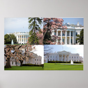 The White House Collage Poster