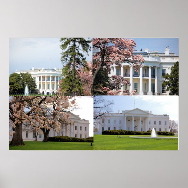 The White House Collage Poster (Front)