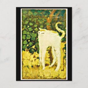 The White Kitten Postcard