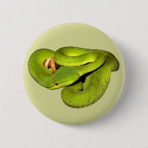The white-lipped pit viper 6 cm round badge