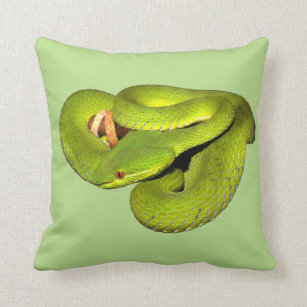 The white-lipped pit viper cushion