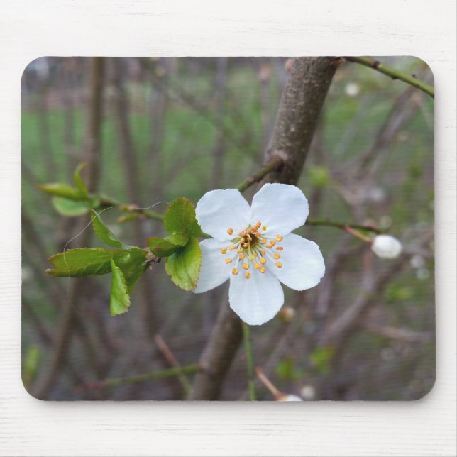The white of spring mouse pad (Front)