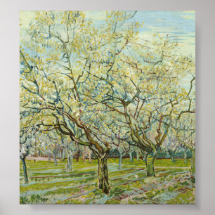 The white orchard by Vincent Van Gogh Poster