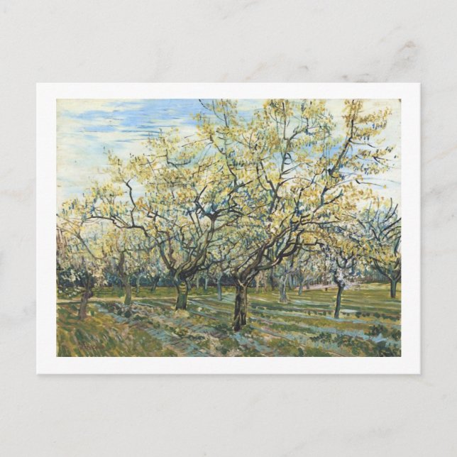 The White Orchard (F403) Van Gogh Fine Art Postcard (Front)