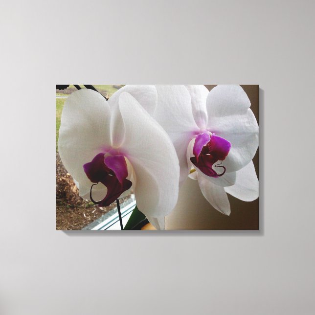 THE WHITE ORCHID canvas (Front)