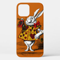 The White Rabbit Barely