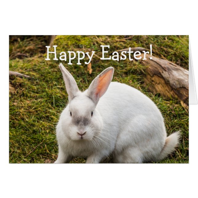 The White Rabbit Easter (Front Horizontal)