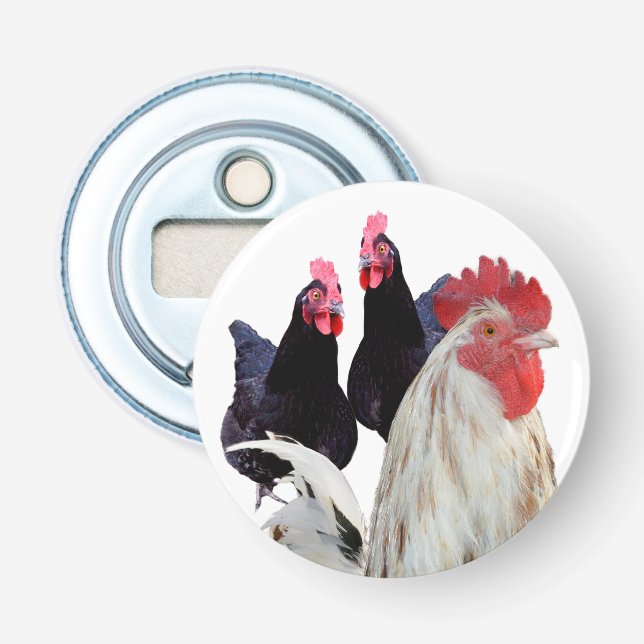  "The White Rooster and His Black Hens" Bottle Opener (Front)