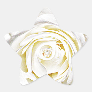 The White Rose of Love_ Star Sticker