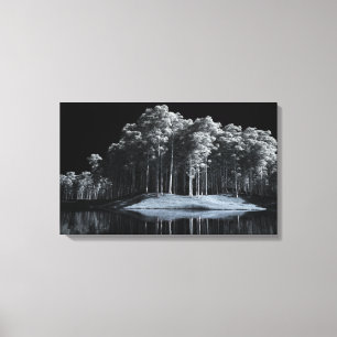 The White Woods (Night) Canvas Print