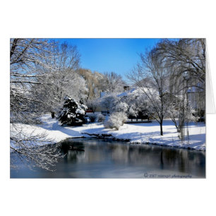 The white world speaks without sound..