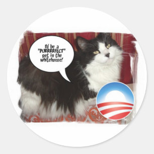 The Whitehouse Pet Kitty Cat Classic Round Sticker