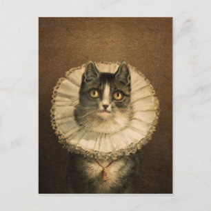 The widow (1861–1897), vintage cat portrait  postcard