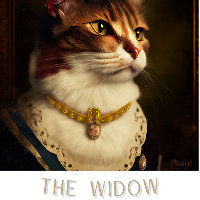 THE WIDOW CAT