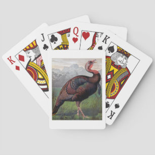 The Wild American Turkey Cock, illustration from ' Playing Cards